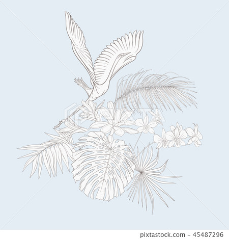 A composition of tropical plants, palm leaves A composition of tropical plants, palm leaves 45487296
