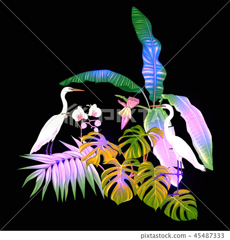 A composition of tropical plants, palm leaves A composition of tropical plants, palm leaves 45487333
