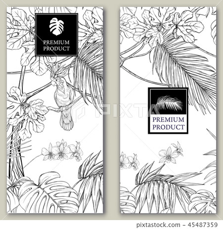 Set of two templates for label for product, cards Set of two templates for label for product, cards 45487359