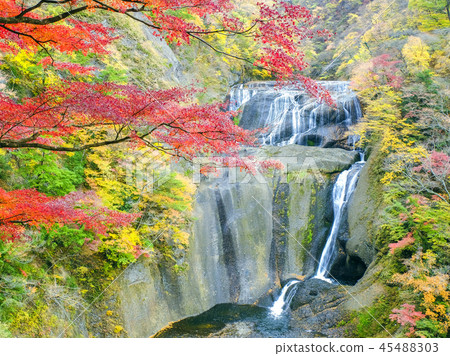 Fall of the autumn leaves of Fukuda 2018-1 Fall of the autumn leaves of Fukuda 2018-1 45488303