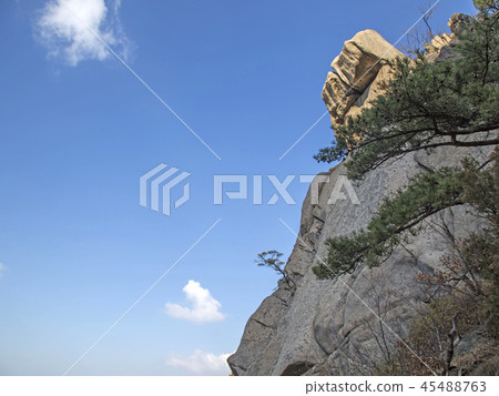 Landscape Landscape 45488763