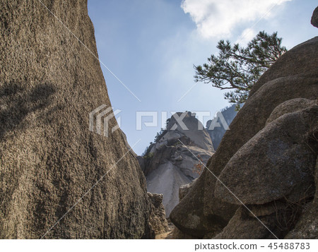 Landscape Landscape 45488783
