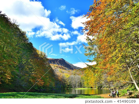 Autumn recreation 45490109