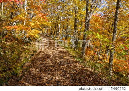 Shiga Kogen Kamoike的小直徑 45490262