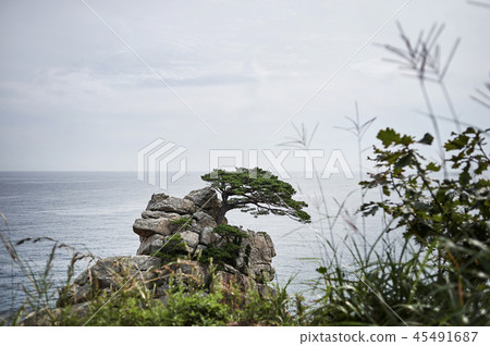 Hajwald, Yangyang-gun, Gangwon-do Hajwald, Yangyang-gun, Gangwon-do 45491687