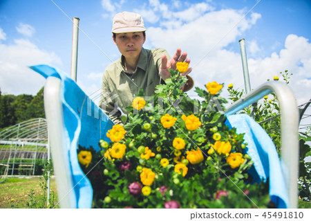 Floriculture agriculture men Floriculture agriculture men 45491810