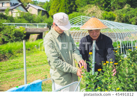 Floriculture agriculture men 45491812