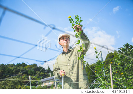 花卉農業男子 45491814