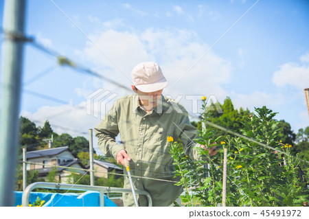 Floriculture agriculture men 45491972
