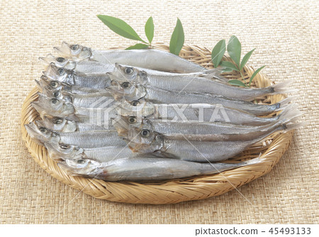 Shishamo Shishamo 45493133