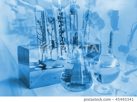 Double exposure Small plants in test tube 45493341