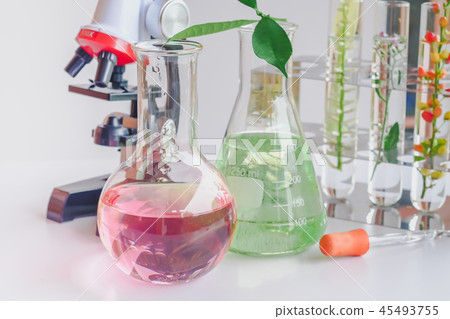 microscope and small plant in test tube microscope and small plant in test tube 45493755