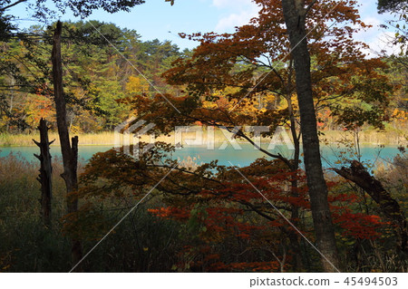 Bentennuma of Goshikinuma 45494503