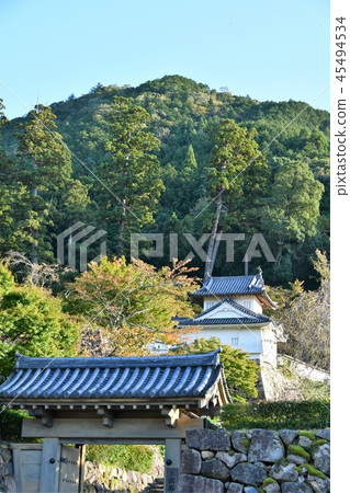Fall Izushi Castle 45494534
