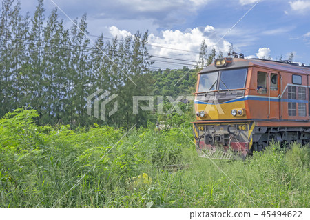 The old train ran through the forest. The old train ran through the forest. 45494622