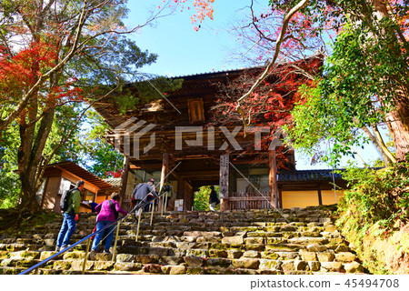 京都Jingoji 45494708