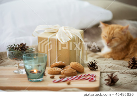 christmas gift, cookies and cat lying in bed christmas gift, cookies and cat lying in bed 45495826
