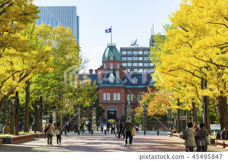 [北海道]札幌市前北海道政府紅磚政府大樓 45495847