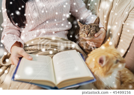 red and tabby and owner reading book at home red and tabby and owner reading book at home 45499156