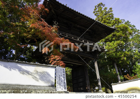 Iyama Hofuku-ji Temple of autumn leaves Iyama Hofuku-ji Temple of autumn leaves 45500254