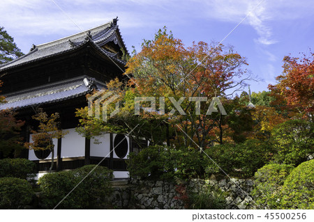 秋葉的Iyama Hofuku-ji寺廟 45500256