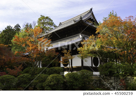 Iyama Hofuku-ji Temple of autumn leaves Iyama Hofuku-ji Temple of autumn leaves 45500259