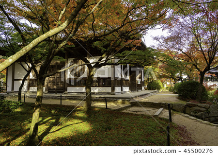 Iyama Hofuku-ji Temple of autumn leaves Iyama Hofuku-ji Temple of autumn leaves 45500276