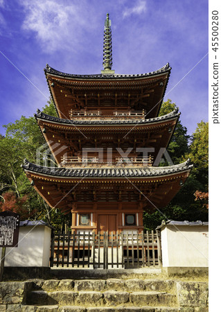 Iyama Hofuku-ji Temple of autumn leaves Iyama Hofuku-ji Temple of autumn leaves 45500280