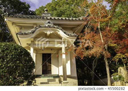 Iyama Hofuku-ji Temple of autumn leaves Iyama Hofuku-ji Temple of autumn leaves 45500282