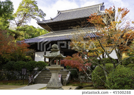 Iyama Hofuku-ji Temple of autumn leaves 45500288