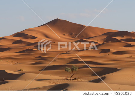 Morocco Chebi and Sahara Morocco Chebi and Sahara 45501023