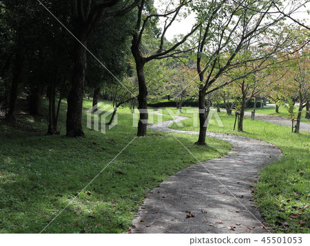 Kobe Nishi Ward Saishin Chuo Park景觀樹 45501053