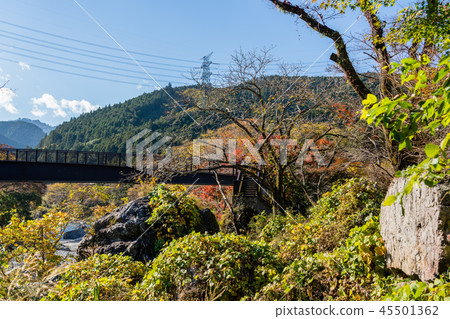 秋天Mitake谷東京奧多摩 45501362