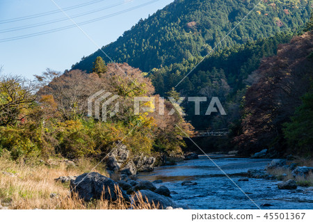 秋天Mitake谷東京奧多摩 45501367