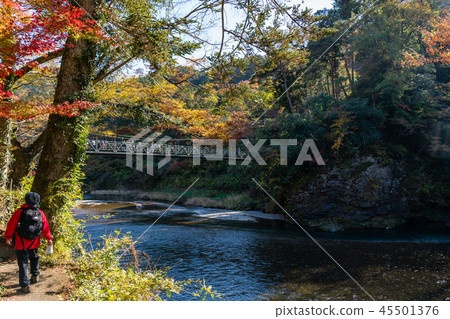 秋天Mitake谷東京奧多摩 秋天Mitake谷東京奧多摩 45501376