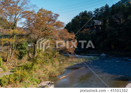 秋天Mitake谷東京奧多摩 秋天Mitake谷東京奧多摩 45501382