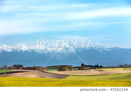 Hokkaido Biei · Autumn scenery 45502144