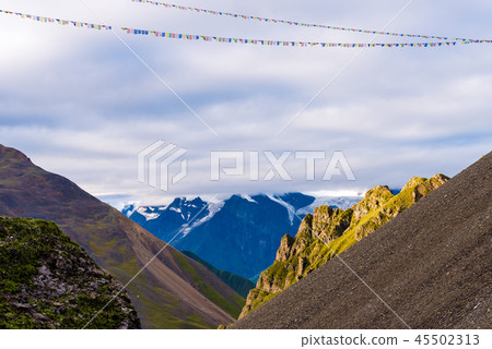 Traditional buddhist prayer flags 45502313