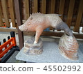 野豬雕像在Goo寺廟的 45502992