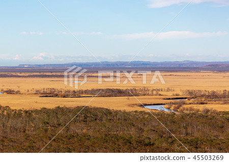 Kushiro wetlands in late fall Hosooka Observatory Kushiro wetlands in late fall Hosooka Observatory 45503269