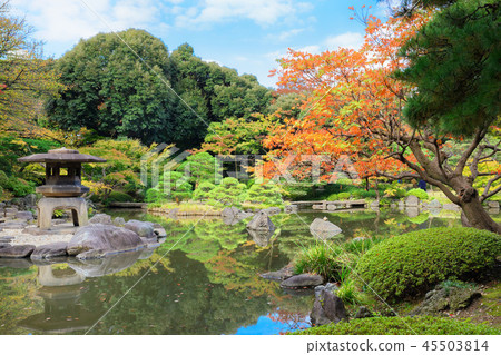Autumn leaves of oak tree in the old Furukawa garden Autumn leaves of oak tree in the old Furukawa garden 45503814