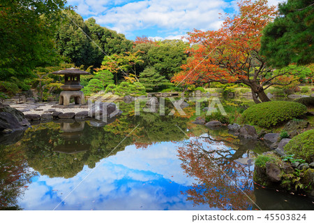 Autumn leaves and stone lanterns of oak tree of old Furukawa garden Autumn leaves and stone lanterns of oak tree of old Furukawa garden 45503824
