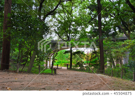 21st Century Forest, Square and Overpass 21st Century Forest, Square and Overpass 45504875