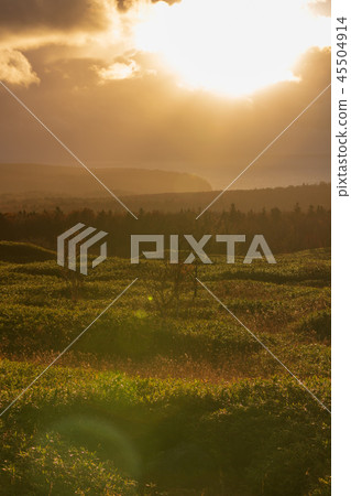 Shiretoko in the late autumn 45504914