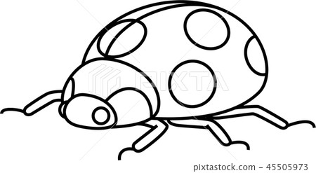 瓢蟲 45505973
