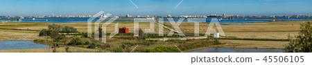 Huge albufera panorama with flooded rice fields 45506105