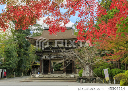 Mitsuisa寺秋葉 45506214