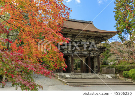 Mitsuisa寺秋葉 45506220