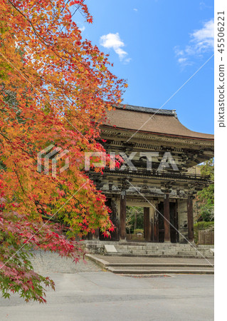 Mitsuisa寺秋葉 45506221