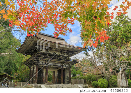 Mitsuisa寺秋葉 45506223